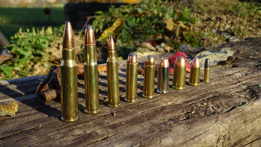 a variety of bullets on a log